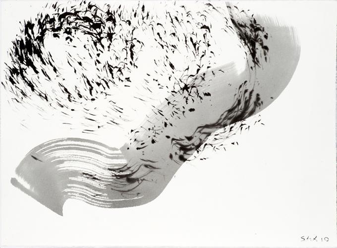 4-2010 durchweht 57x76 chf 2400.jpg